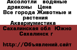 Аксолотли / водяные драконы › Цена ­ 500 - Все города Животные и растения » Аквариумистика   . Сахалинская обл.,Южно-Сахалинск г.